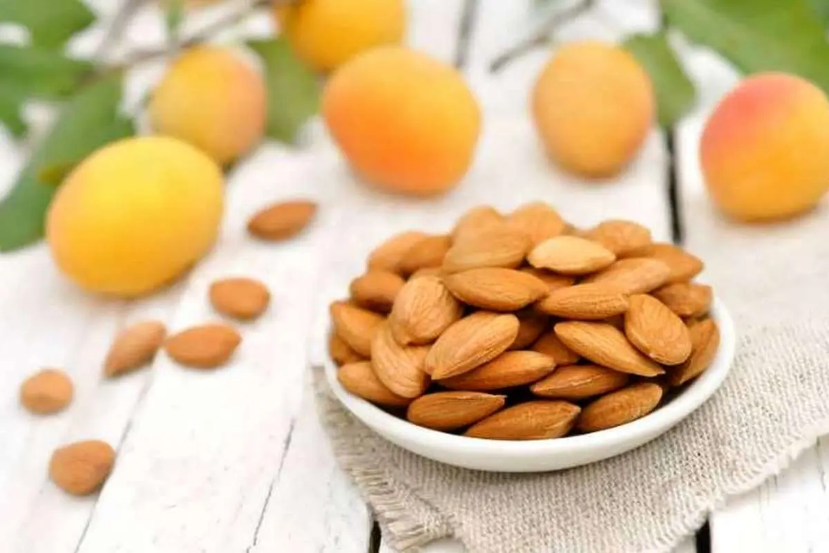 آیا مغز هسته زردآلو به درمان سرطان کمک میکند؟