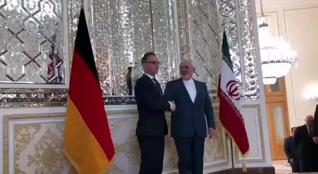 (ویدئو) ظریف با «هایکو ماس» دیدار کرد