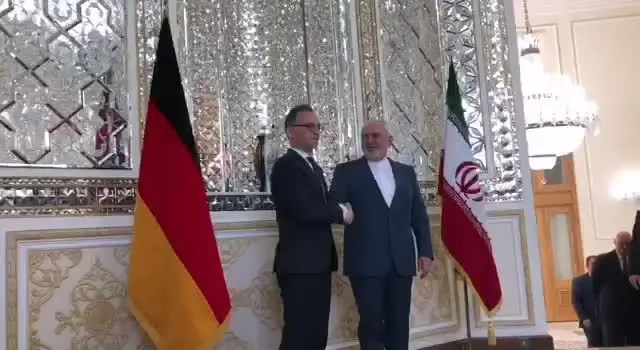 (ویدئو) ظریف با «هایکو ماس» دیدار کرد