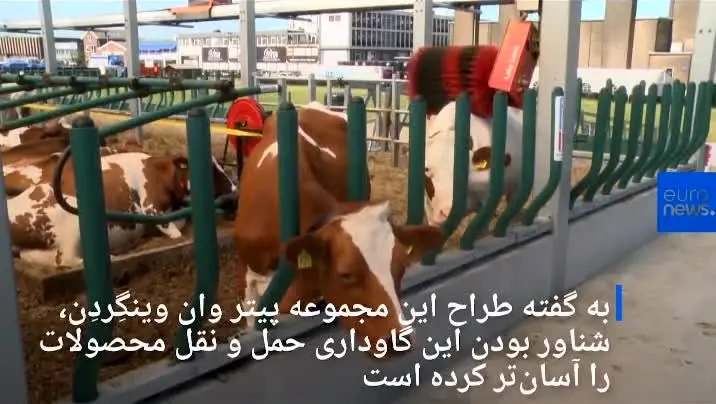 (ویدئو) اولین گاوداری شناور و تمام مکانیزه جهان در هلند