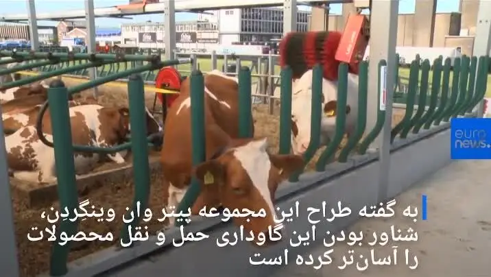 (ویدئو) اولین گاوداری شناور و تمام مکانیزه جهان در هلند