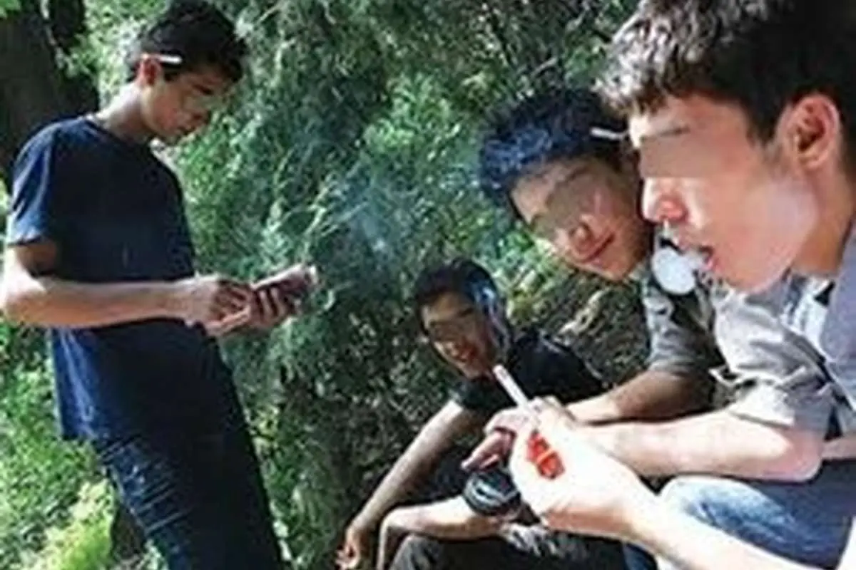 «تریاک» و «گل» دو مخدر پرمصرف کشور