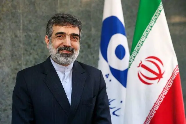 کمالوندی: سطح غنی‌سازی ایران به 4.5 درصد رسید