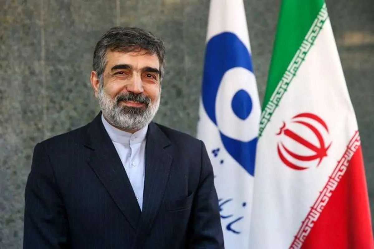کمالوندی: سطح غنیسازی ایران به 4.5 درصد رسید