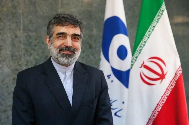 کمالوندی: سطح غنی‌سازی ایران به 4.5 درصد رسید