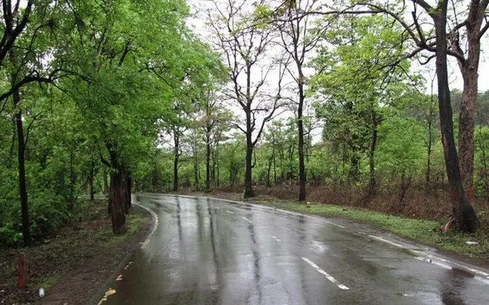 پیش بینی باران پراکنده در ۱۳ استان