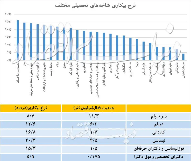 مدرک پرطرفدار بازار کار