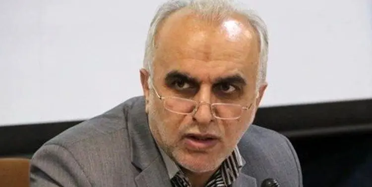 وزیر اقتصاد: گم شدن یک میلیارد یورو ارز دولتی صحت ندارد