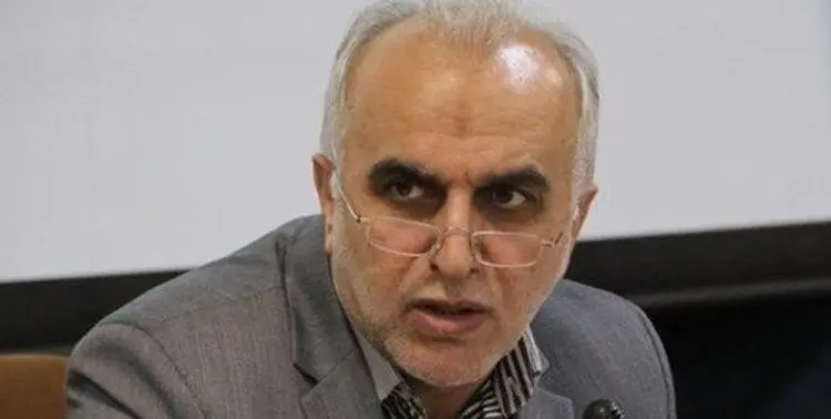 وزیر اقتصاد: گم شدن یک میلیارد یورو ارز دولتی صحت ندارد