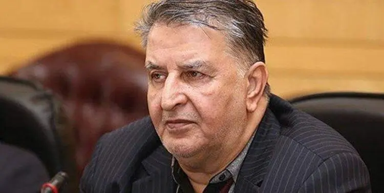 یک نماینده مجلس: یک زن و مرد شبانه ۷۰۰ خودرو ثبت نام کردند!