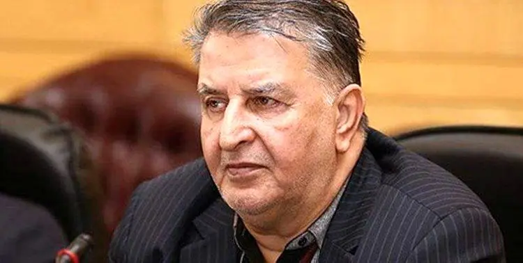 یک نماینده مجلس: یک زن و مرد شبانه ۷۰۰ خودرو ثبت نام کردند!