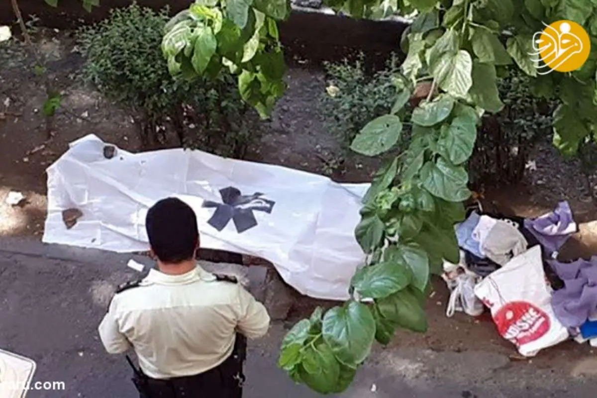 دو جنازه در کارتن؛ سرنخهای تازه از جنایتهای مرموز
