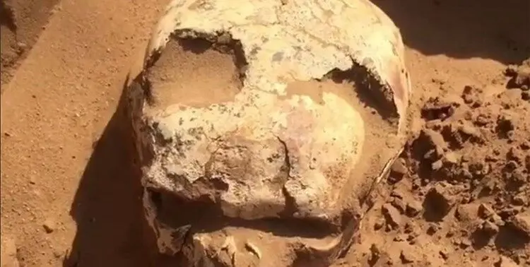 (تصاویر) کشف بقایای یک جنگجوی ۲ هزارساله