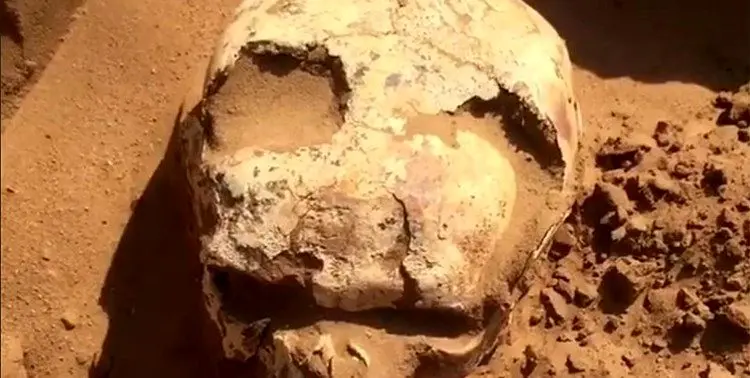 (تصاویر) کشف بقایای یک جنگجوی ۲ هزارساله