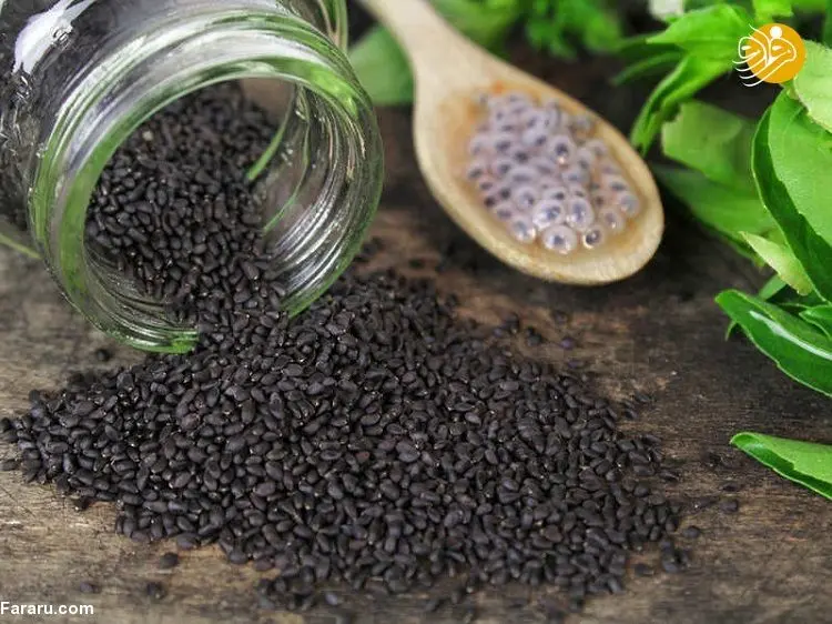 خواص تخم شربتی از کمک به لاغری تا بر طرف کردن نفخ و یبوست