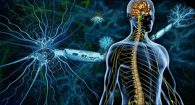 همه چیز درباره بیماری ام‌ اس؛ از علائم و نشانه ها تا علل ایجاد کننده