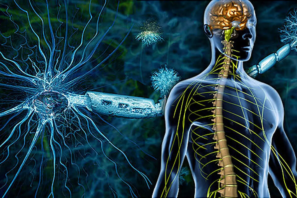 همه چیز درباره بیماری ام اس؛ از علائم و نشانه ها تا علل ایجاد کننده