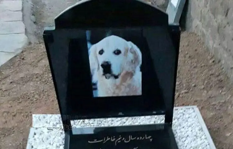 (فیلم) ماجرای جنجالی مراسم خاکسپاری یک سگ در مسجد!
