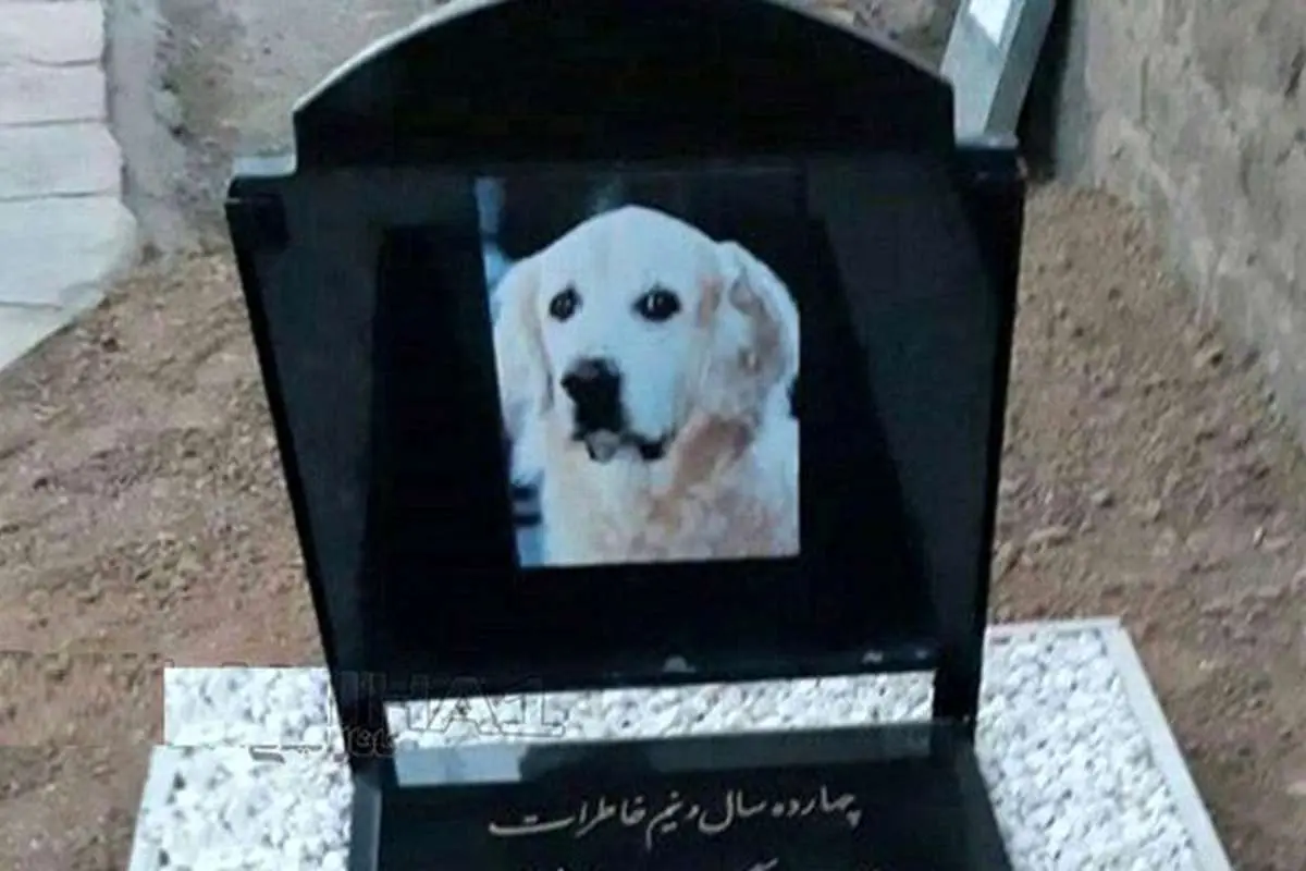 (فیلم) ماجرای جنجالی مراسم خاکسپاری یک سگ در مسجد!