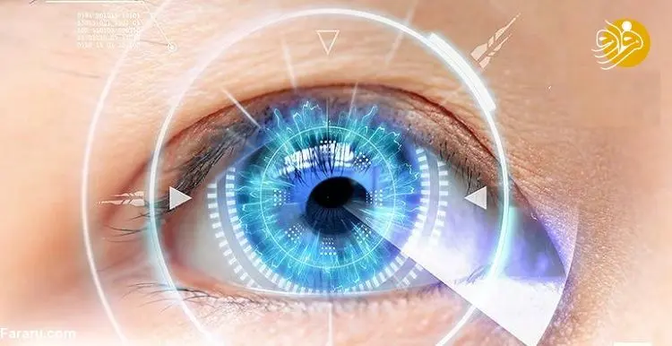 مگس پران چشم چیست و آیا برای چشم خطرناک است؟