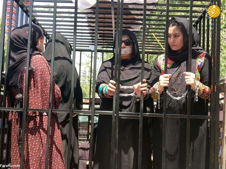 (تصاویر) چند زن افغان خود را در قفس زندانی کردند!