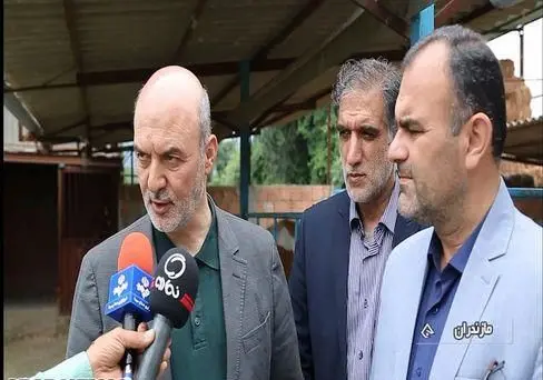 برکت ۸۰۰ طرح اشتغال‌زایی جدید در مازندران راه‌اندازی می‌کند