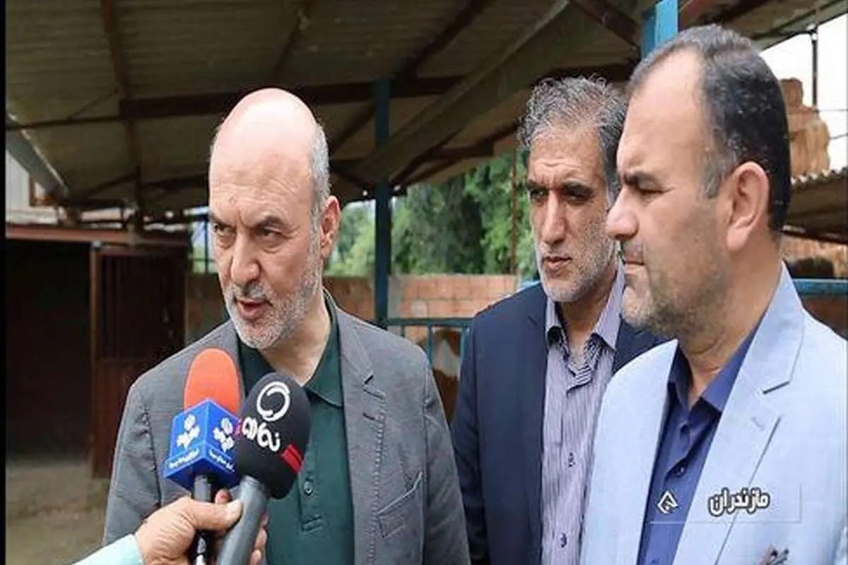 برکت ۸۰۰ طرح اشتغالزایی جدید در مازندران راهاندازی میکند