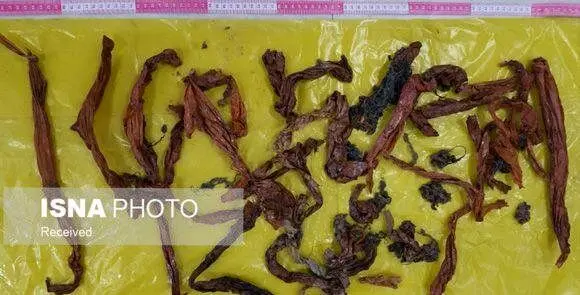 (عکس) زن معلولی گنابادی که پارچه و نخ می‌خورد!