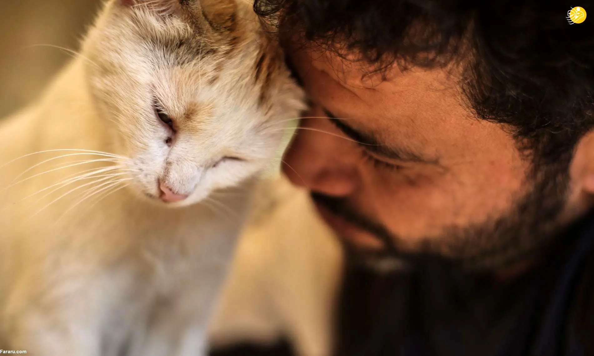 (تصاویر) مردِ گربه‌ای حلب