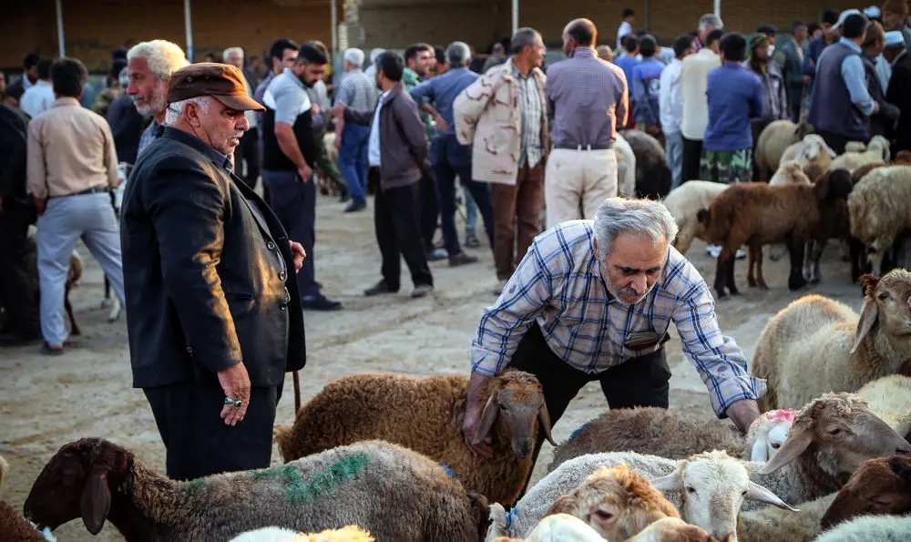 (تصاویر) بازار فروش دام در آستانه عید قربان در بجنورد‎