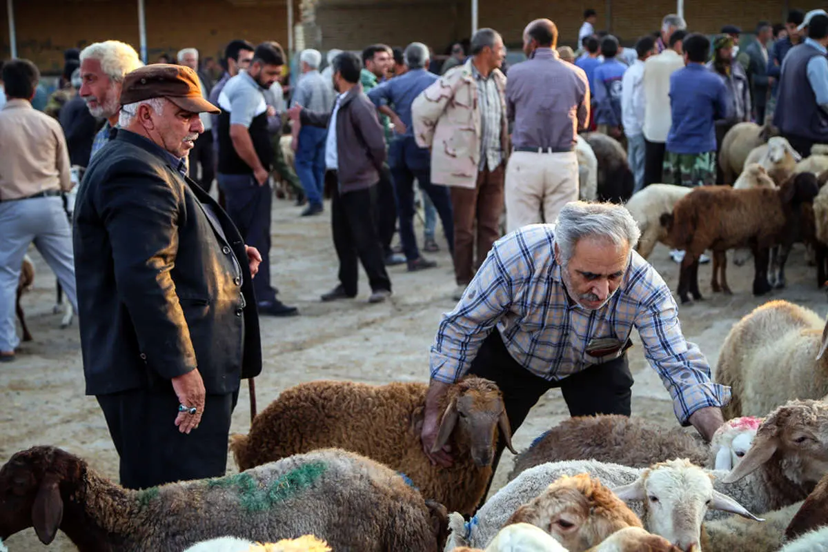 (تصاویر) بازار فروش دام در آستانه عید قربان در بجنورد
