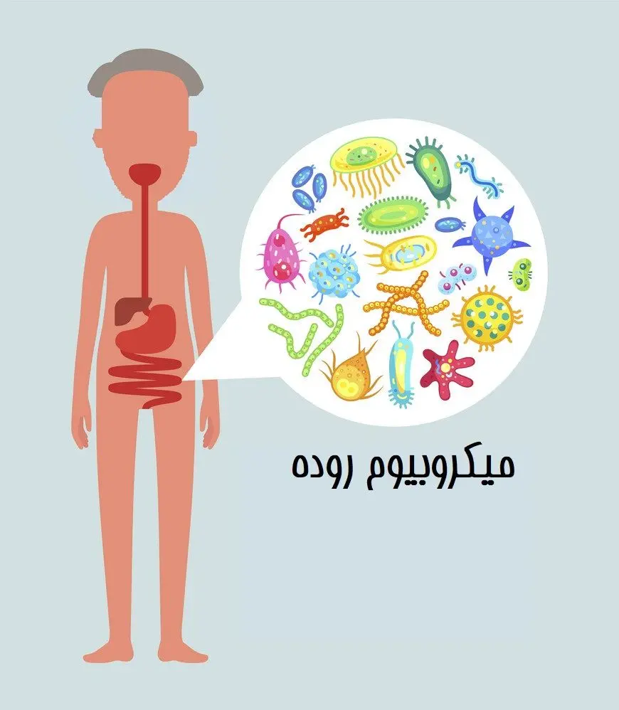 مراقب باکتری‌های روده‌ی خود هستید؟