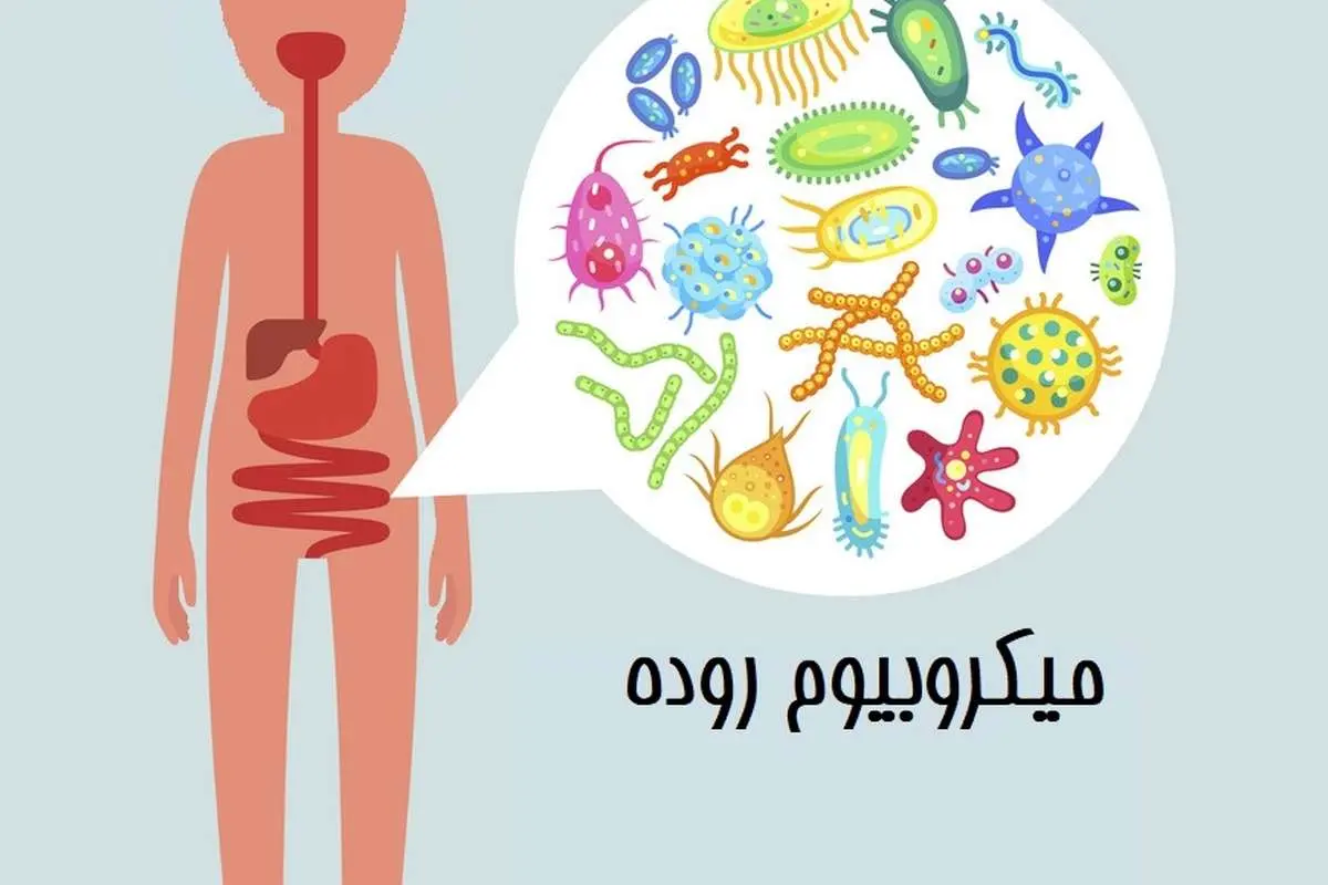 مراقب باکتری‌های روده‌ی خود هستید؟