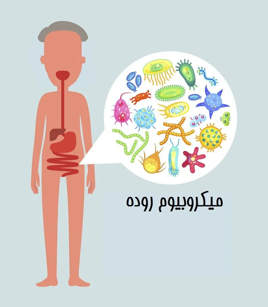 مراقب باکتری‌های روده‌ی خود هستید؟