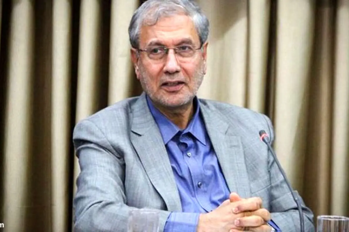 رمزگشایی سخنگوی دولت از برکناری زودهنگام میعاد صالحی