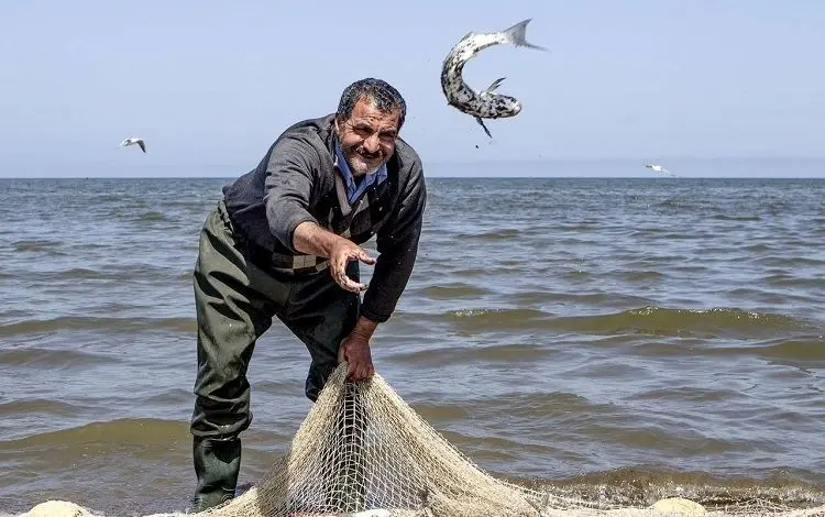 سرنوشت تلخ پیرمرد ماهیگیر در خور گناوه