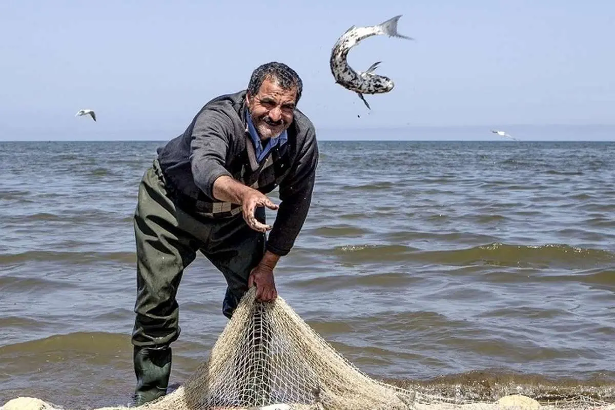 سرنوشت تلخ پیرمرد ماهیگیر در خور گناوه