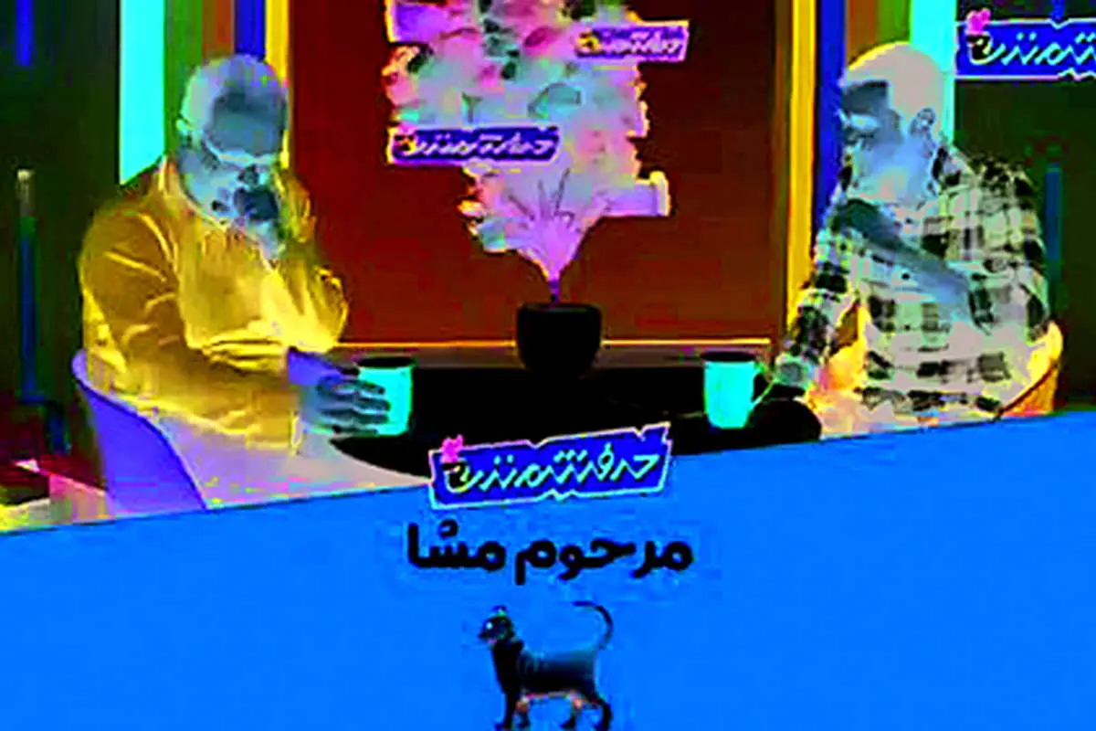 گفتگو با مجری جنجالی شبکه افق: ما مسخره نکردیم