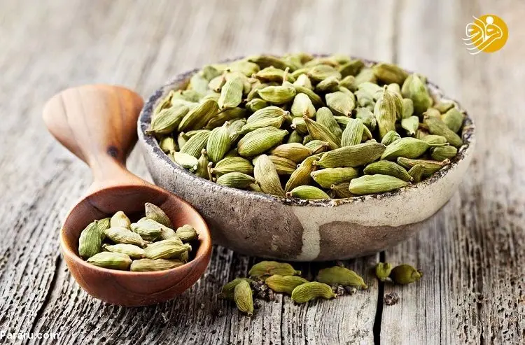 ۱۲ خاصیت فوق العاده هل؛ از تقویت قوای جنسی تا درمان سکسکه