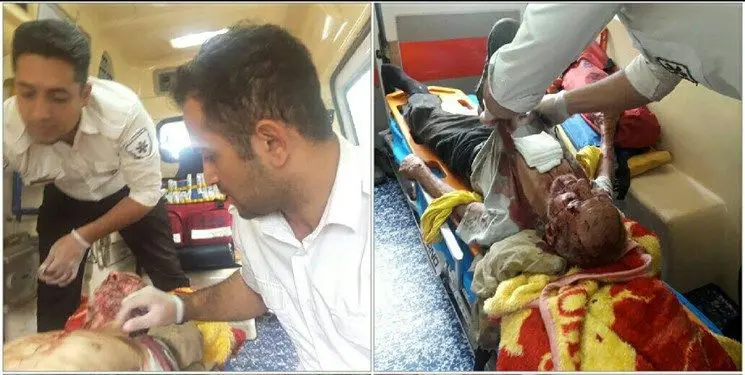 (تصویر) حمله پلنگ به چوپانی در بابل