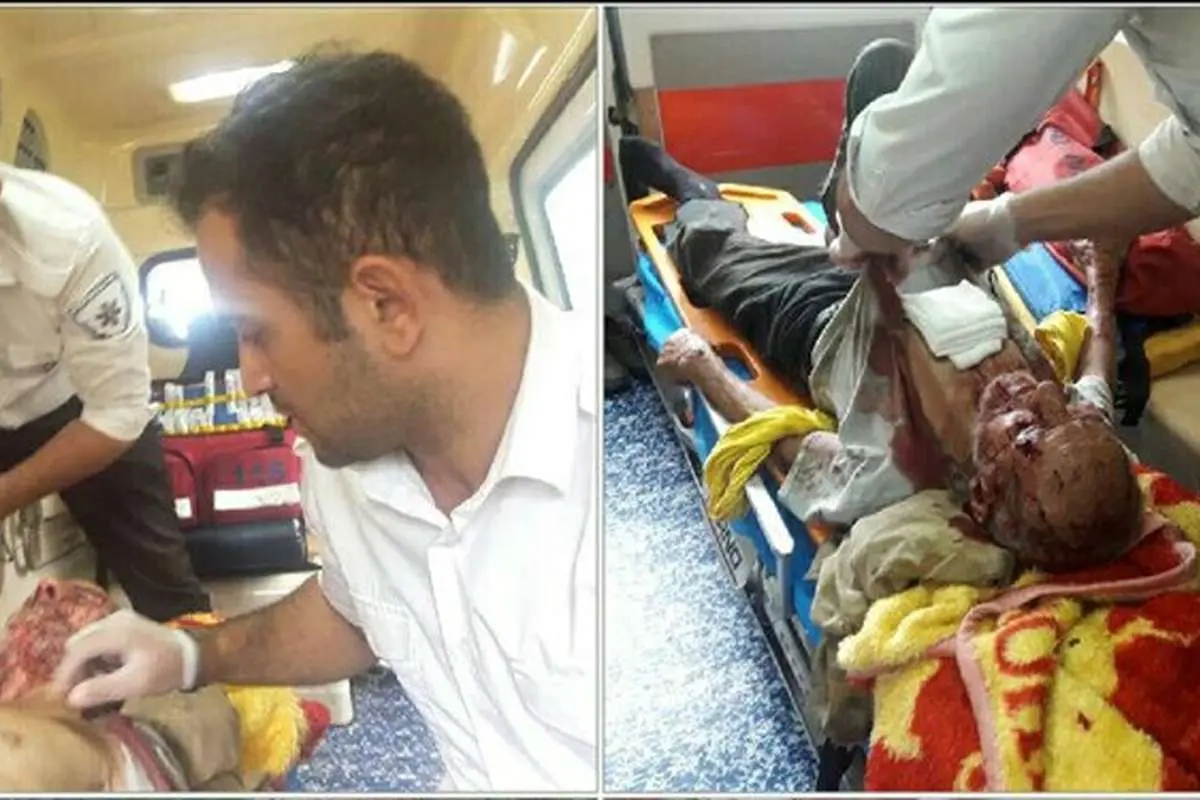 (تصویر) حمله پلنگ به چوپانی در بابل