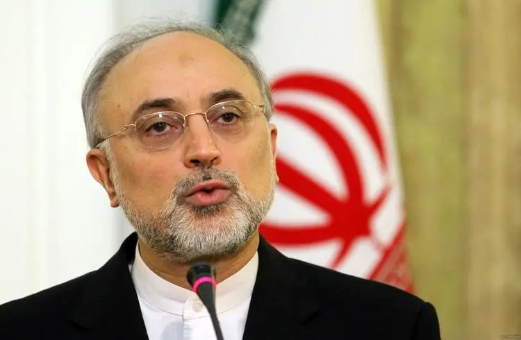 دیدار مدیرکل موقت آژانس بین‌المللی انرژی اتمی با صالحی