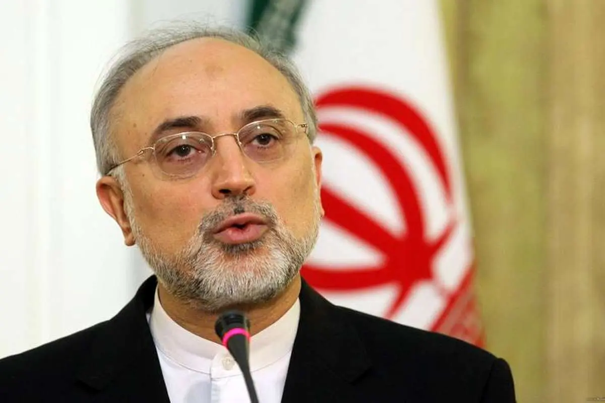 دیدار مدیرکل موقت آژانس بینالمللی انرژی اتمی با صالحی