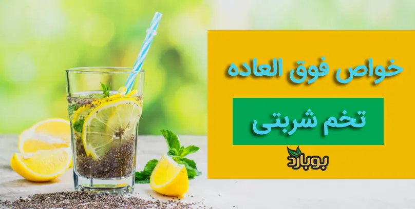 خواص فوق العاده و مضرات تخم شربتی