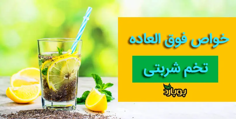 خواص فوق العاده و مضرات تخم شربتی