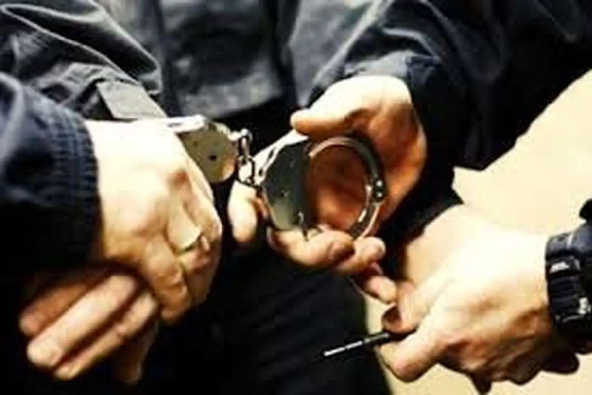 زن و شوهر دزد، اموال گردشگر ایرلندی را در قزوین غارت کردند!