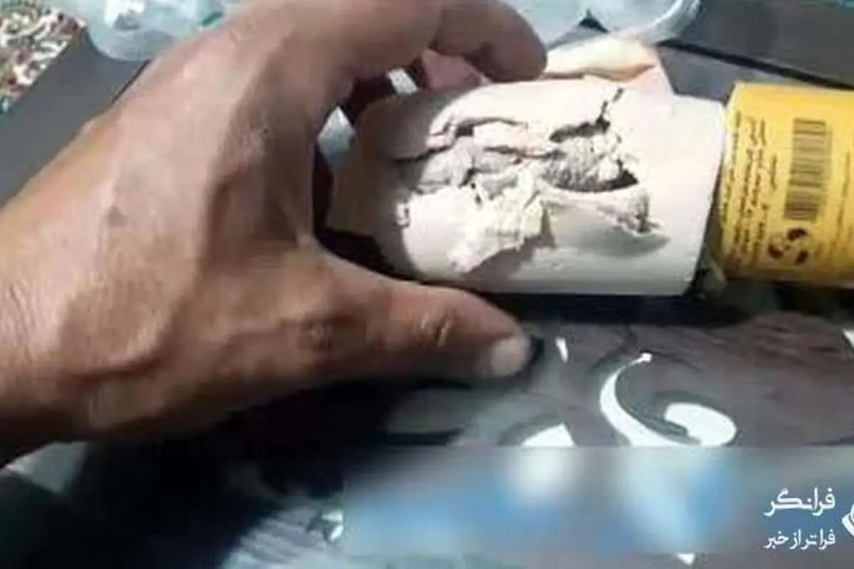 (عکس) پیدا شدن موش داخل بسته بندی کالباس