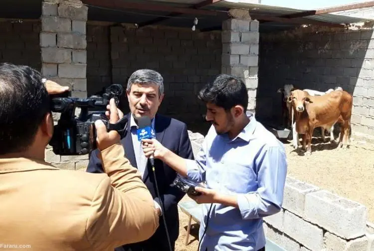 توزیع ۴ هزار دام سنگین در سیستان و بلوچستان به همت برکت
