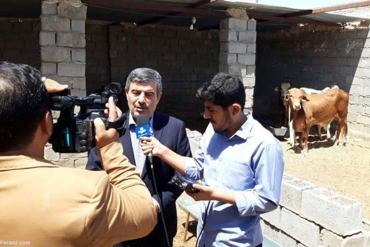 توزیع ۴ هزار دام سنگین در سیستان و بلوچستان به همت برکت