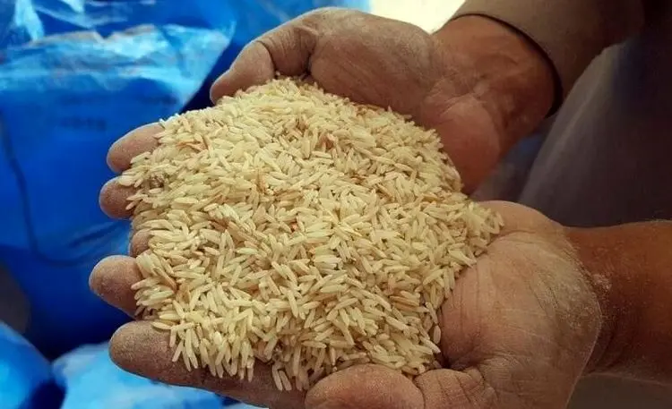 ۵۳ تن برنج و شکر تقلبی در پایتخت کشف شد